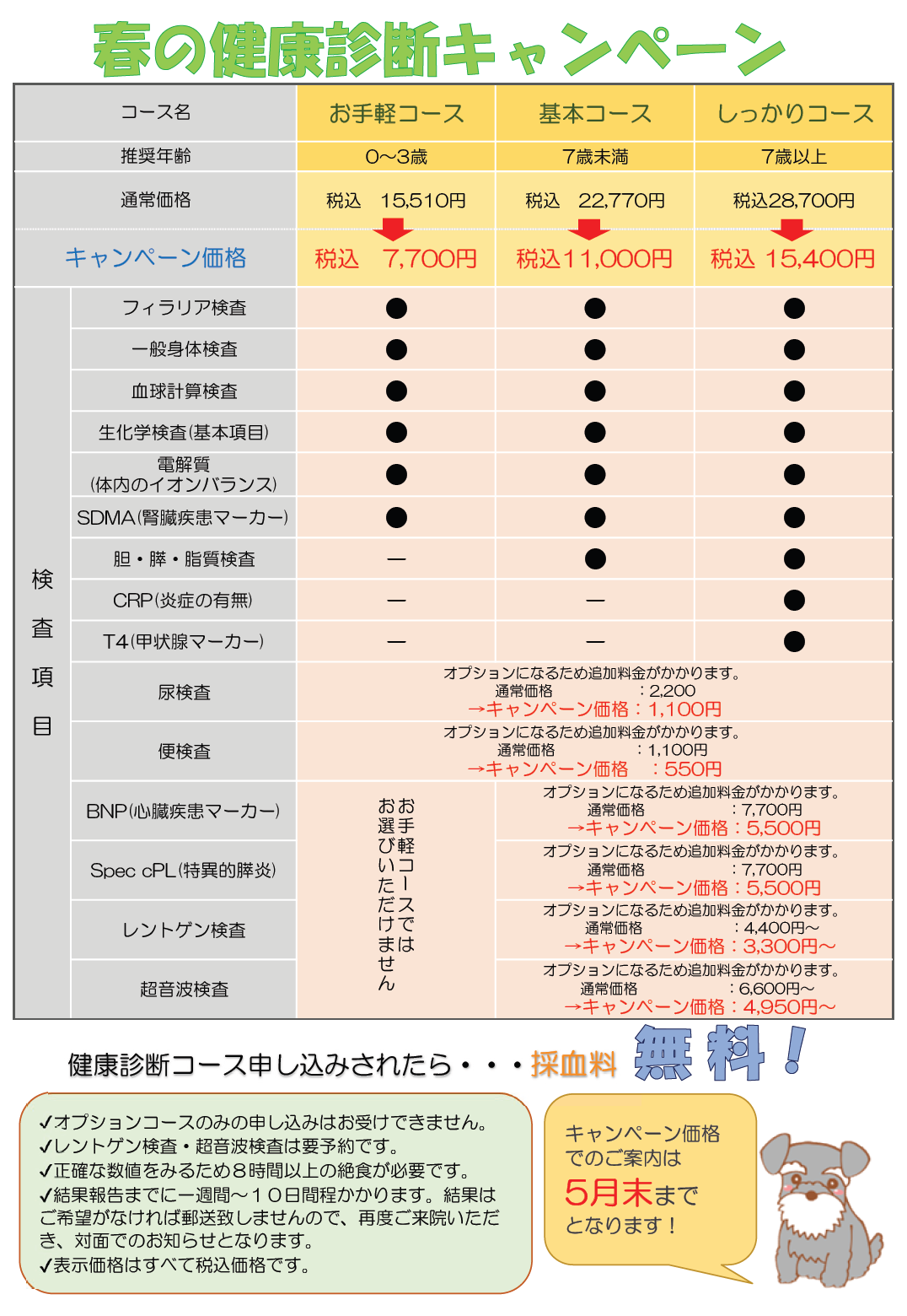 キャンペーン料金表