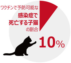 混合ワクチン みらいペットクリニック さいたま市 岩槻区 動物病院