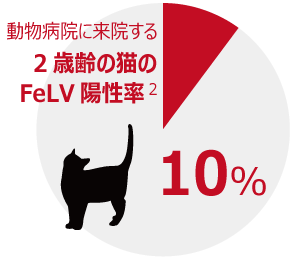 混合ワクチン みらいペットクリニック さいたま市 岩槻区 動物病院